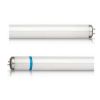 หลอดไฟ UVA (PHILIPS/SPECIAL MASTER TL-D /ACTINIC BL 15 W ,T8)  SATTER PROOF Lamp long life 17,500 hr